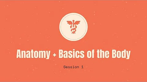 Anatomy + Basics of the Body (Session 1) - Health Science Summer Crash Course