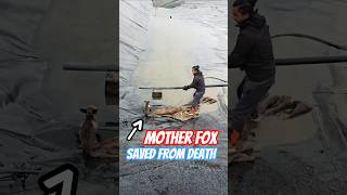 A Life Saved in the Last Moment