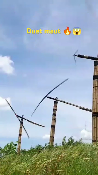 Mayang vs bahadur vs gobangg angin barat mantap lokasi pasir karang Cijenuk#kolecer#shorts