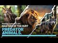 Meet the World’s Apex Predators | Nature’s Ultimate Hunters