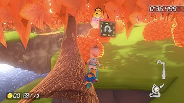 MK8DX Maple Treeway Out Of Bounds Falling Glitch On The Tree