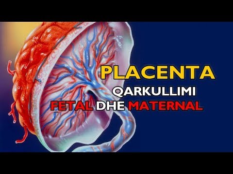 Video: Çfarë është placenta e mbajtur?