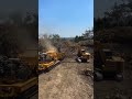 see the process of destruction of wood using #shorts