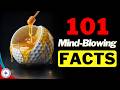 101 Facts Too Weird to Believe | You've Been Lied To !!