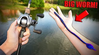 World's LARGEST Fishing Worm (BIG FISH!)