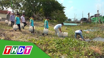 TP. Hồng Ngự: Thả cá tái tạo nguồn lợi thủy sản | THDT