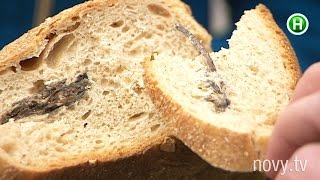 В этом городе хлеб запекают с грызунами! - Абзац! - 01.03.2016 В этом городе хлеб запекают с грызунами! - Абзац! - 01.03.2016