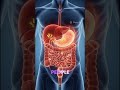 Stop Sugar for 7 Days and Watch What Happens! 😳(Ai visualization) #healthtips #facts #shorts #ai