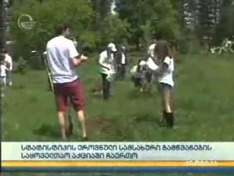 საქსტატის თანამშრომლები გამწვანების აქციაში მონაწილეობენ იმედი