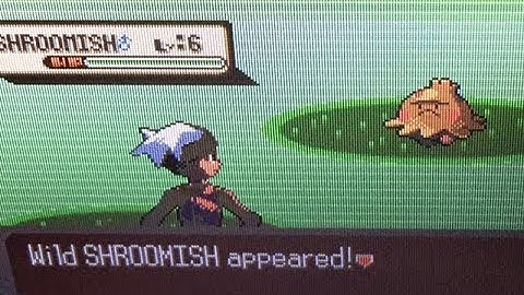 Live Shiny Shroomish after 7,749 REs on Pokémon Sapphire!