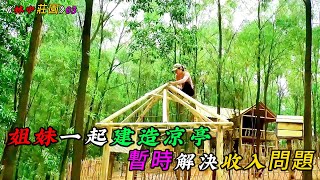 姐妹一起建造涼亭暫時解決收入問題《林中莊園》03