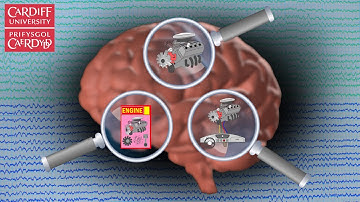 LOOKING INSIDE THE BRAIN: An overview of Brain Scanning / Investigation techniques