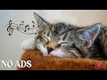 Anti-Anxiety Music for Cats💖 Relaxing Sounds for Deep Sleep, Healing Insomnia &amp; Stress-Free Cats