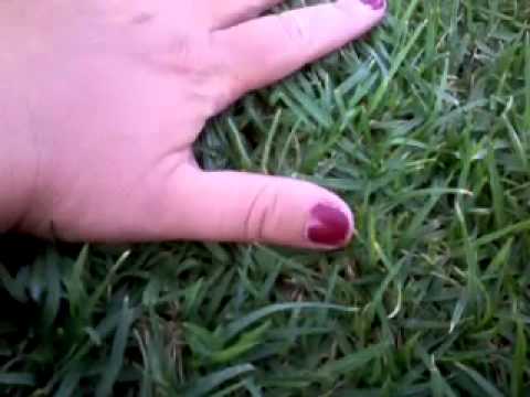 from my poetry  ჩემი პირველი  კრებულიდან \"მავან პოეტთა\"...