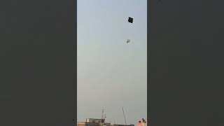 Kite Flying in Pakistan #shorts #pakistan