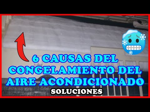 6 Cosas por
