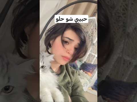 قطة قفوشة خالص