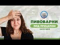 Налоговая проверка пивоварни: за что наказывают и как защититься