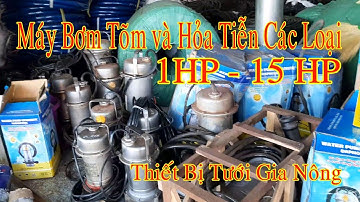 Bơm Tõm và Hỏa Tiễn Các Loại Từ 1 đến 15 HP Thiết Bị Tưới Gia Nông