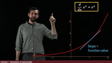 The derivative of e^x.