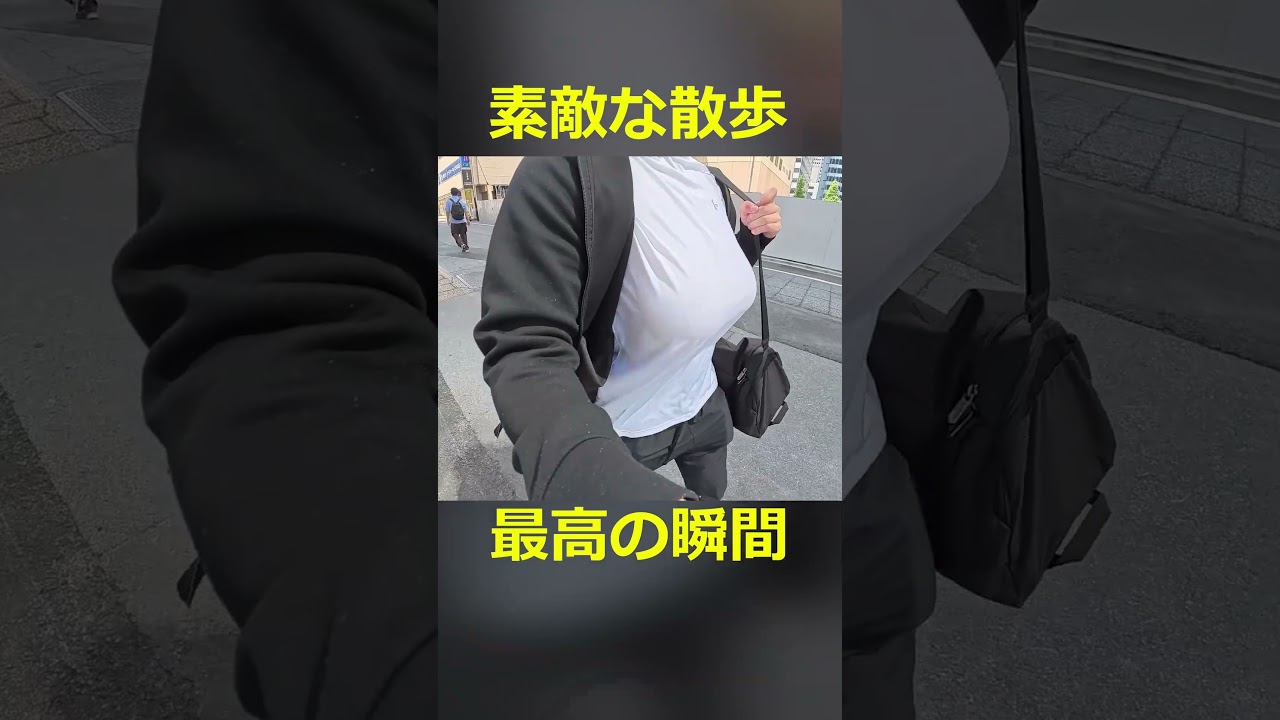 素敵な散歩動画#shorts
