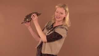 Celebrity Gretchen Mol supports the Turtle Conservancy! Wealth