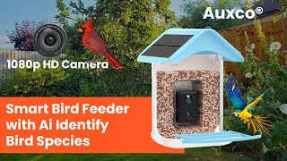 AUXCO Smart Bird Feeder with Camera