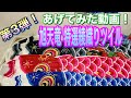 第3弾！揚げてみた動画！鯉のぼり　こいのぼり　旭天竜　ツイル滝のぼりツイル金太郎鯉