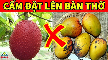 5 Loại Quả KIÊNG KỴ THẮP HƯƠNG Trên Bàn Thờ Ngày Mùng 1, Lễ Tết Càng Cúng Càng Mang TỘI