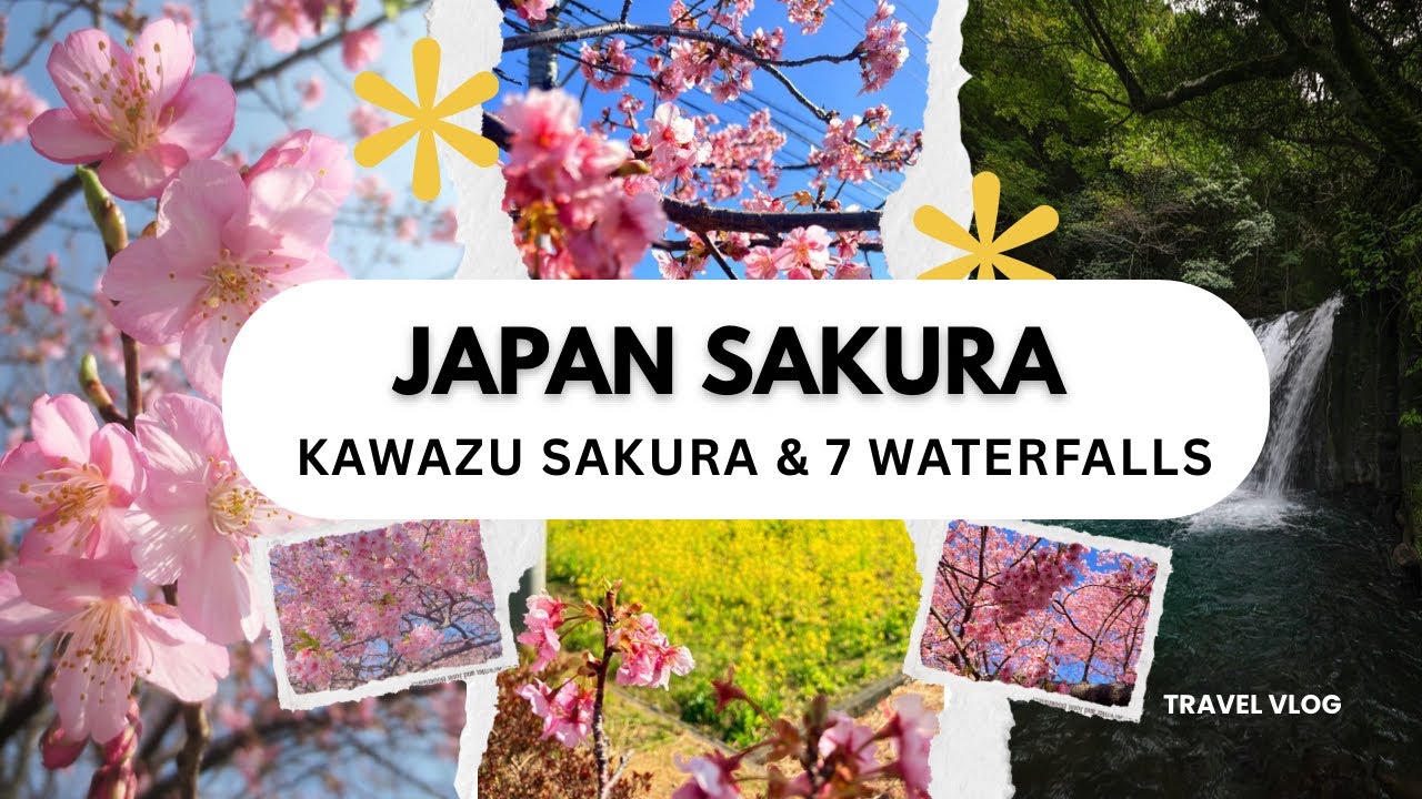 Kawazu Sakura Festival 2026 & Seven Waterfalls 🌸 | Japan’s Early Cherry Blossoms