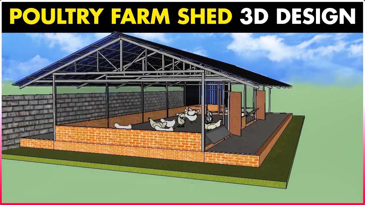 Poultry Farm Shed Design | Poultry Farming Business Plan - YouTube