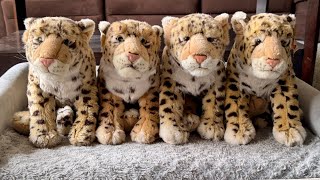Leopard Plush Comparison