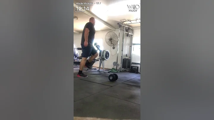 18.1 wade Mclean