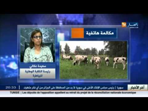 13 شخصا بقسم الإستعجالات بسبب الحمى المالطية بالبويرة