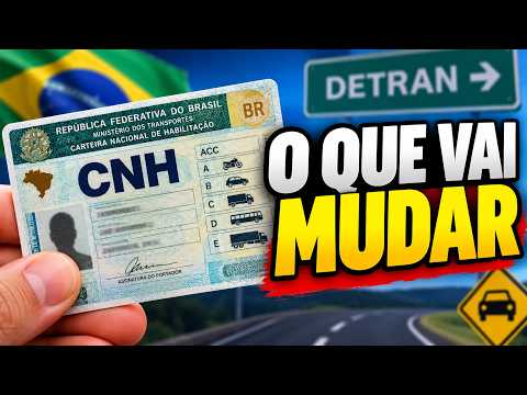 Driver's license renewal for those over 65: new law for drivers