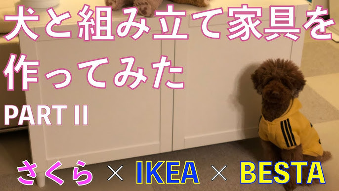 Ikea Besta ベストーテレビ台の組み立て 入居準備の記録 Unboxing And Assemble Of Tv Unit Part 2 Youtube
