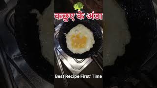 First Time Egg Tortoise Turtle Scute Scutum कछआ अड