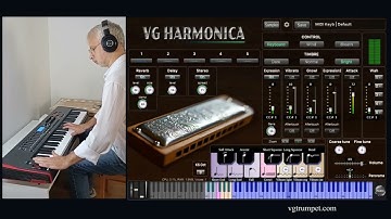 VG Harmonica Virtual instrument, vst au plugins, standalone application.