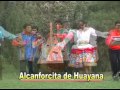 vamos lima alcanforcita de huayana