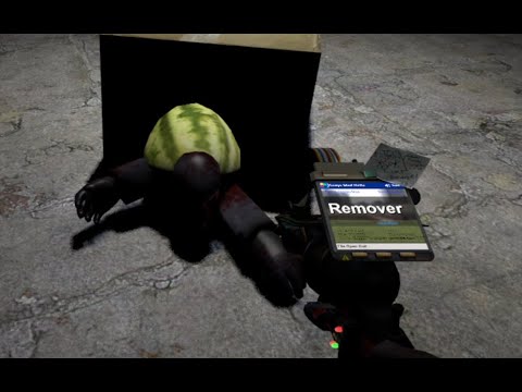 Gusfringerpro2009 wmv