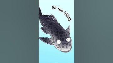 Cá dọn bể có ăn được không?