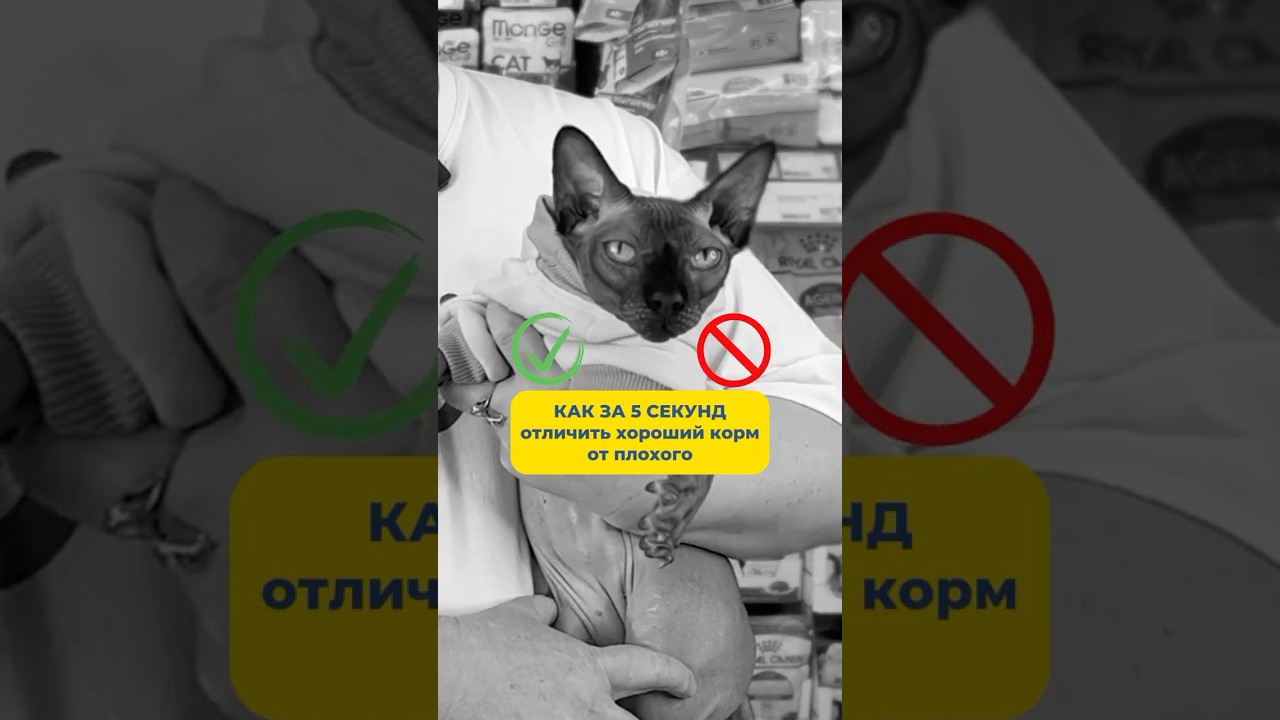 Как за 5 секунд  отличить хороший корм для кошек от плохого