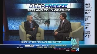 Interview: Pet safety in the winter