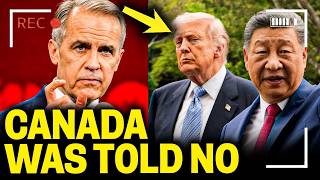 Information Xi Jinping White House Visit — And Why Carney's Canada Was Warned Off Chinese Cars News