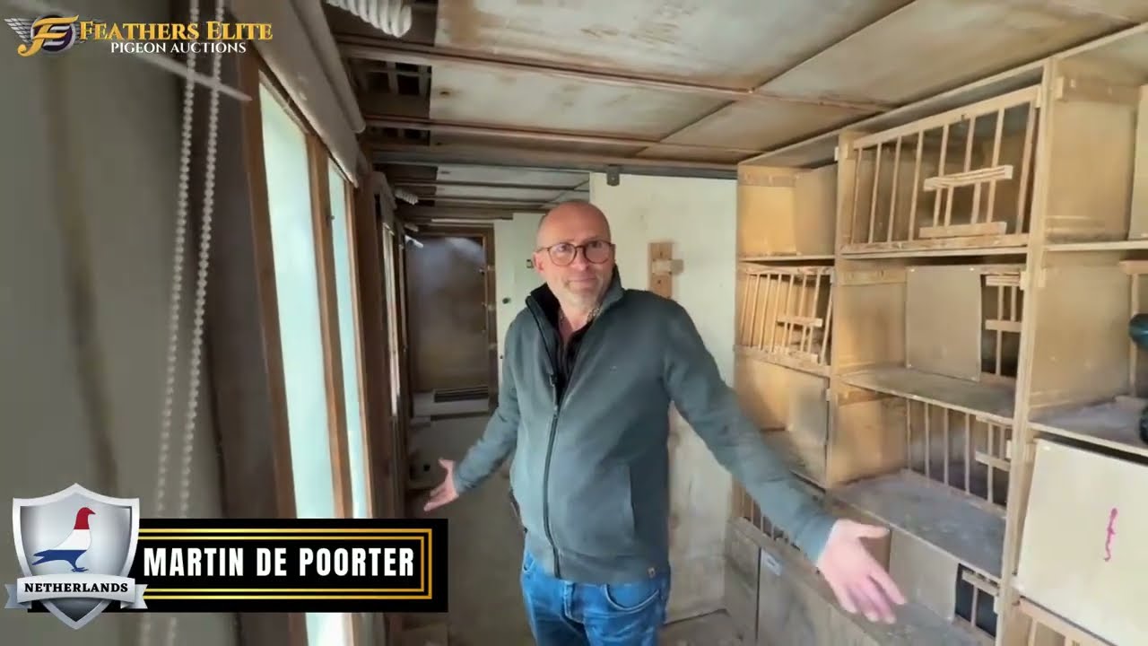 Inside the Lofts of National & International Long Distance Champion Martin de Poorter~Netherlands