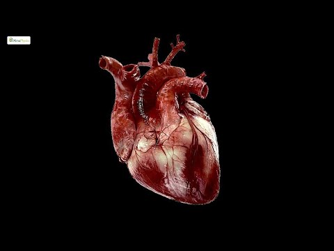 Video: I pacemaker prevengono gli attacchi di cuore?