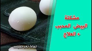 البيض المحبب فى البادجى + العلاج