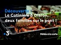 La cotinire  olron deux familles sur le pont   mto  la carte