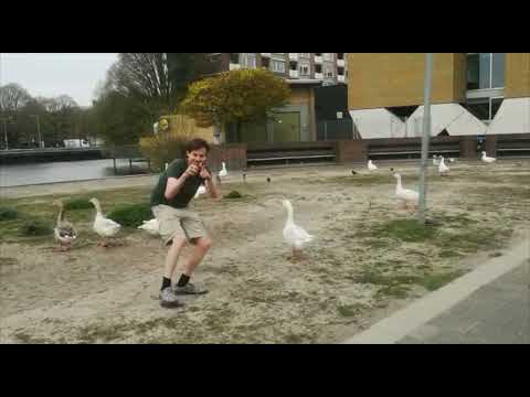 Hippe strijder - Een jaar of 10.