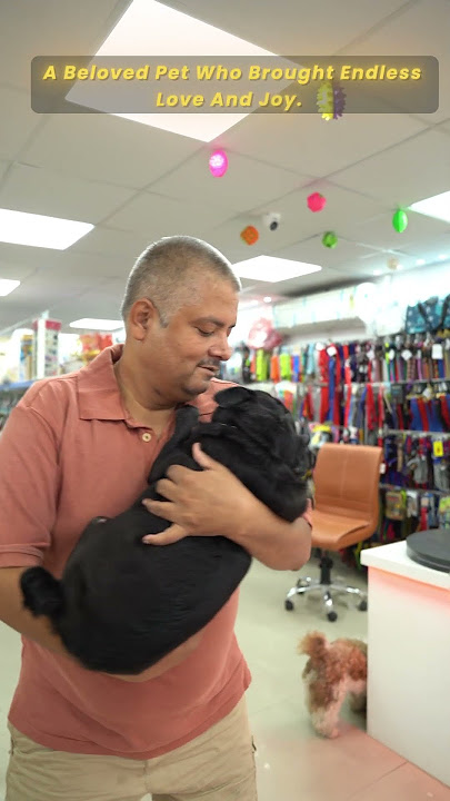 🐾❤️ Meet Sanjeevni — The Paw-ssionate Founder of Our Story! 🐶